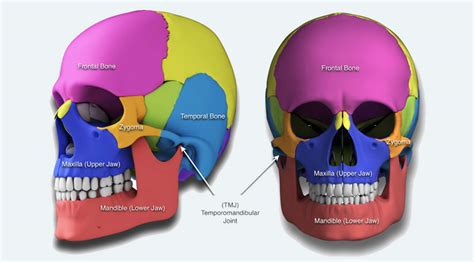 craniofacial-syndromes - Dell Children's Craniofacial Team of Texas