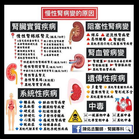 慢性腎病成因6大項「病況進展分5期」 醫曝護腎8原則：減輕負擔 中天新聞網