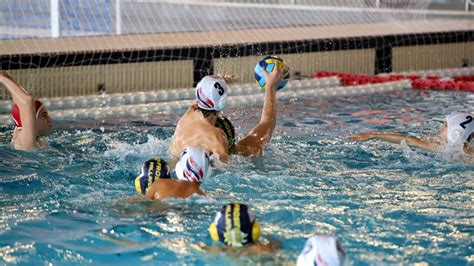 Grande Successo Per Il Torneo Di Pallanuoto Citt Di Frosinone