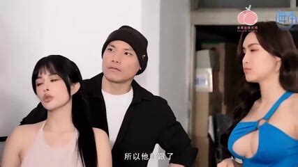 Chinese Maid Girls Consensual Sex On The Train