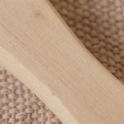 Project Source 1 In Reusable Natural Bristle Flat Chip Brush In The