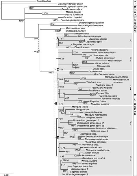 The Majority Rule Consensus Tree From Bayesian Analysis Of Seven