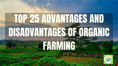 Top Advantages And Disadvantages Of Organic Farming Benefits Of