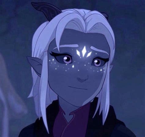 Rayla Dragon Prince Prince Dragon Dragon Princess Fantasy Character