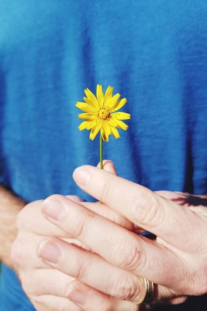 Premium Photo Close Up Of Hands Holding Yellow Flower