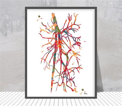 Angiogram Print Deep Femoral Artery Watercolor Profunda Femoris