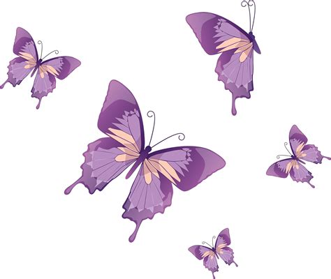 purple butterfly png images  transparent backgrounds fastpngcom