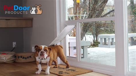 Sliding Patio Doors With Built In Pet Door - Patio Ideas