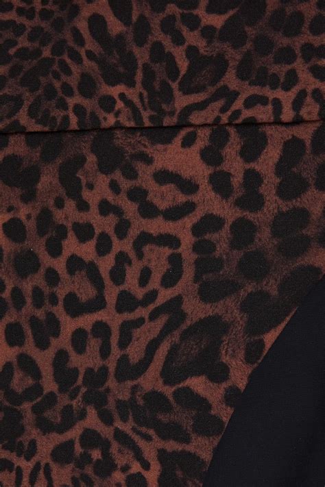 JETS AUSTRALIA BY JESSIKA ALLEN Leopard Print Mid Rise Bikini Briefs THE OUTNET