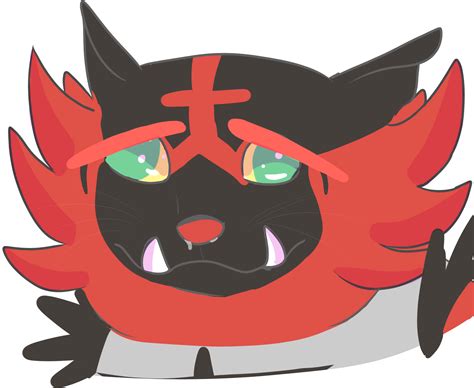 100 Cat Meme Wallpapers For Free