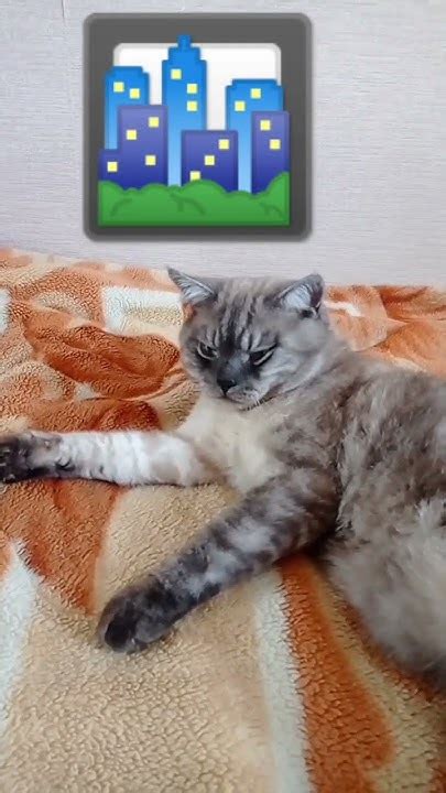 не жизнь,а сказка!!! - YouTube
