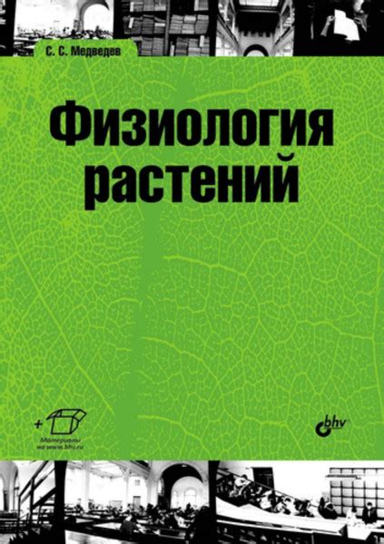 Физиология растений - Медведев С.С.