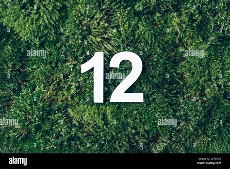 Ecology, zero waste. Green grass, digit twelve. Birthday greeting card ...