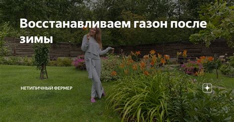 Восстанавливаем газон после зимы | Нетипичный фермер | Дзен