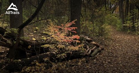 Best Lake Trails In Tipton Alltrails
