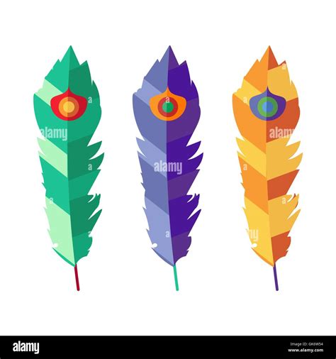 Vector Set Of Three Flat Colorful Feathers Stock Vector Image And Art Alamy
