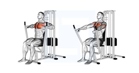 Lever Chest Press Guide Benefits And Form