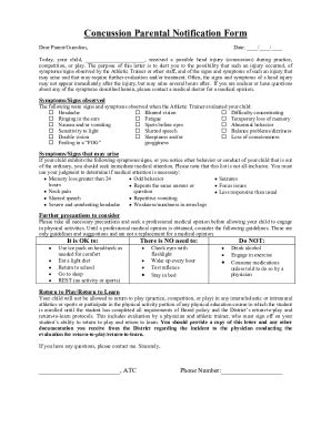 Fillable Online Concussion Info Sheet Final Copy Docx Fax Email Print