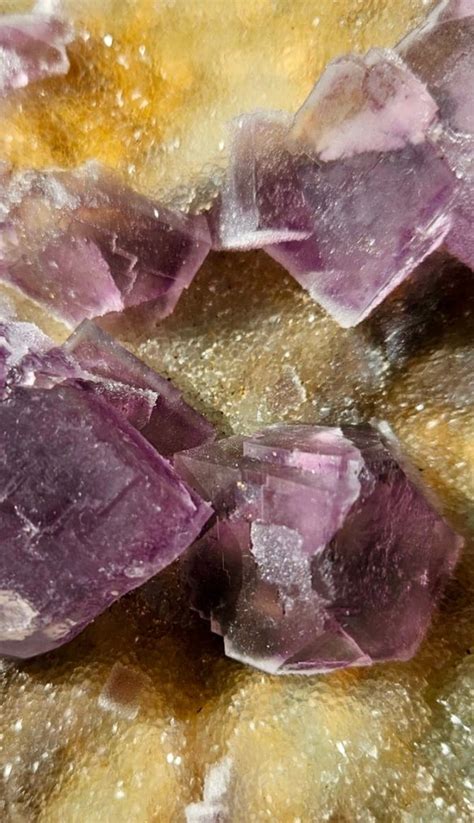 Fluorite Cristalli Su Matrice Altezza Mm Larghezza Mm