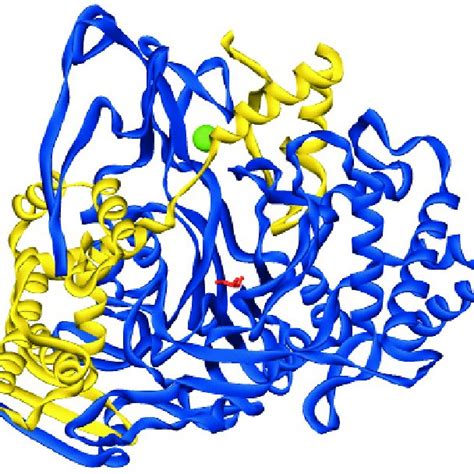 PDF Protein Engineering Of Penicillin Acylase