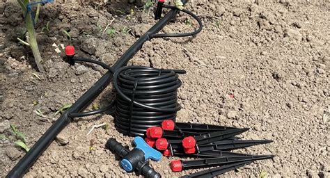 КАПЕЛЬНЫЙ ПОЛИВ ДЛЯ ТЕПЛИЦ И ОГОРОДОВ ОПТОМ | ПРОИЗВОДСТВО ШЛАНГОВ ПВХ ...