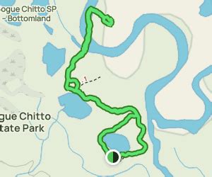 Bogue Chitto River Trail: 20 Reviews, Map - Louisiana | AllTrails