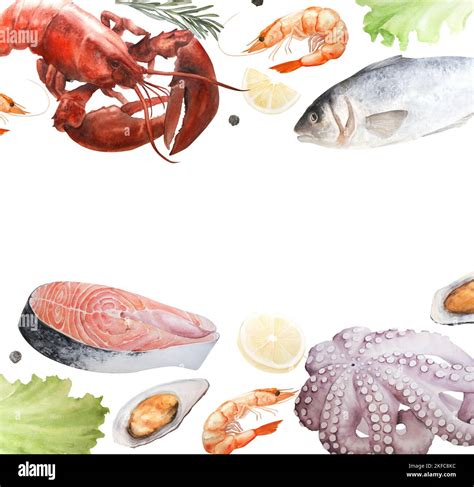 Seafood Watercolor Illustration Frame On White Background Stock Photo