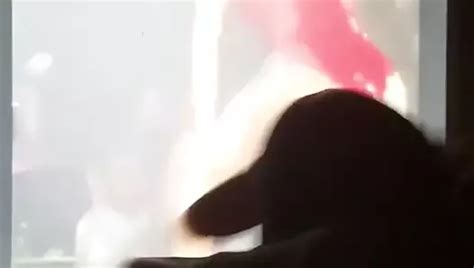 Cardi B Gay Porn XHamster