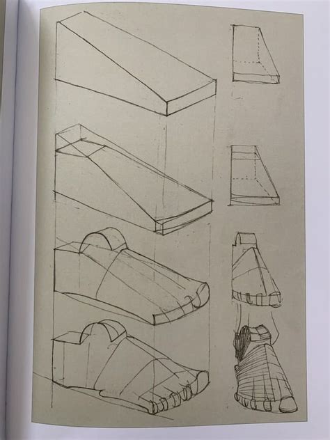 Пластическая анатомия Баммеса | Антон Батов | Дзен