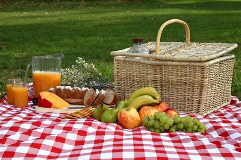 picnic | Express Recycling and Sanitation
