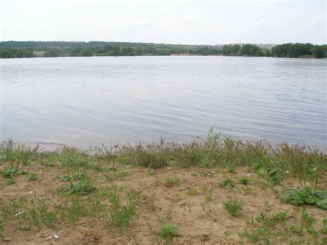 Amateur Lovers IMG Porn Pic