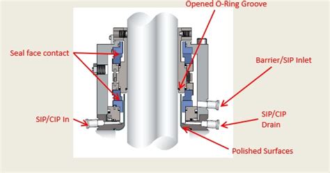 Double Mechanical Seal Flowserve Dry Running Contacting Non Contacting