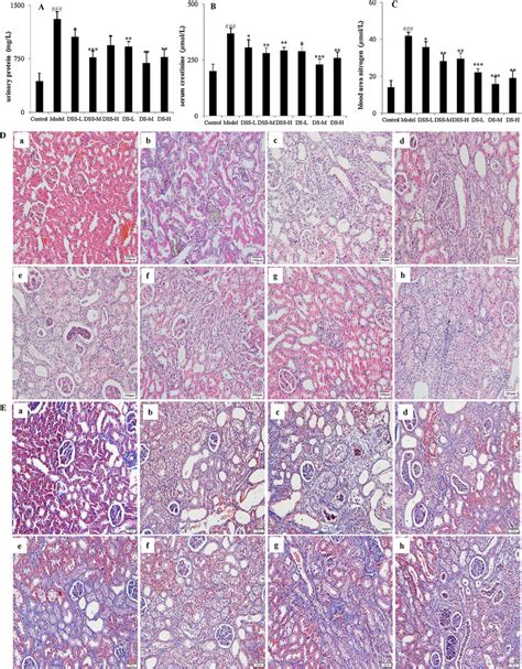 Determination Of Biochemical Indicators And Analysis Of Renal