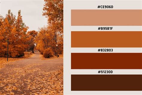 Warm Autumn Walk Colour Palette And Hex Code In 2022 Warm Autumn Color