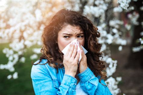 Seasonal Allergies Vs Sinusitis How To Tell The Difference