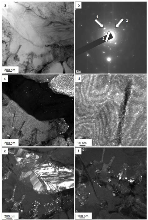 electron microscopic image   structure  akmn cast silumin