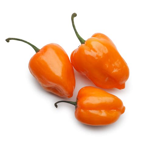 15 Proven Health Benefits of Eating Habanero Pepper – Poultry farm ...