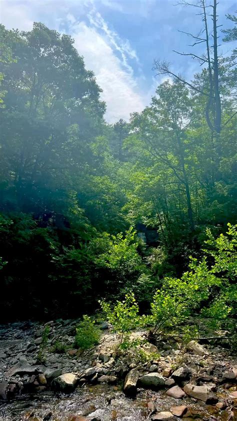 Smokey Mountain Summer Great Smoky Mountains National Park Most