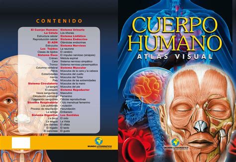 Cuerpo Humano Atlas Visual Angela Maldonado UDocz