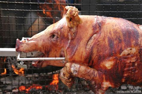 Pig Roasting and Food Safety