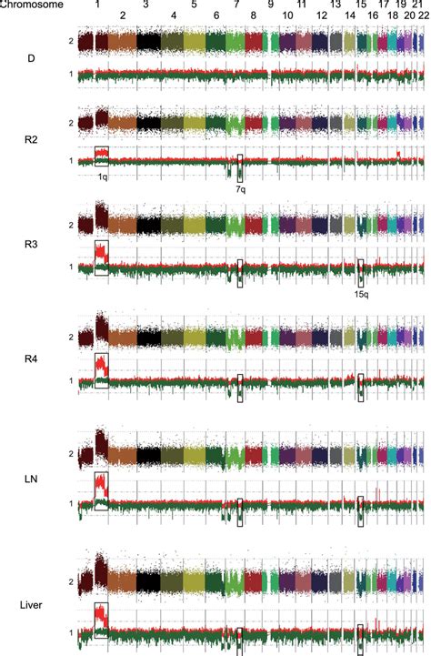 Results of SNP array analysis in each sample. Colorful dots at the top ...