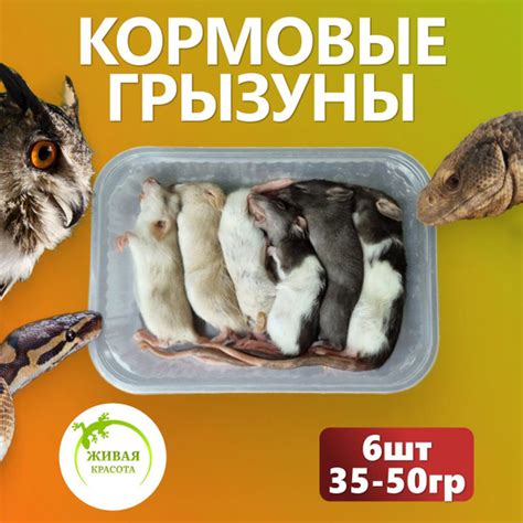 Корм для змей, кормовые грызуны, мыши 35-50гр 6шт - купить с доставкой ...