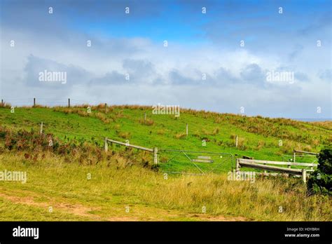 Great Ocean Road scenic drive of Melbourne Stock Photo - Alamy