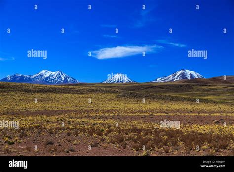 laguna miniques  chile  res stock photography  images alamy