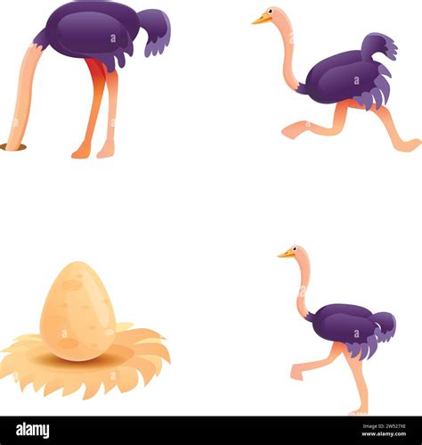 African Ostrich Icons Set Cartoon Vector Ostrich Bird And Big Egg