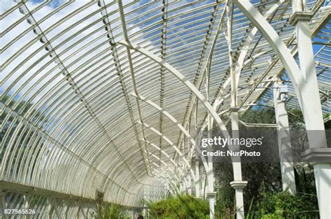 The National Botanic Gardens Dublin Photos and Premium High Res ...