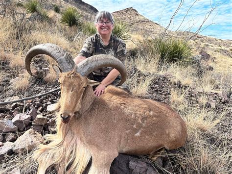 Home - Texas Aoudad with Hidden Creek Outfitters