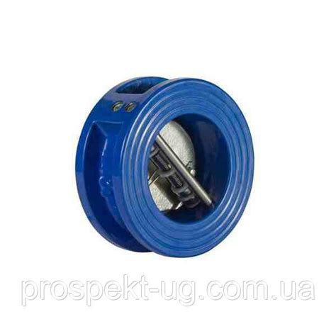 Купить Клапан обратный межфланцевый двухлепестковый подпружиненный ...