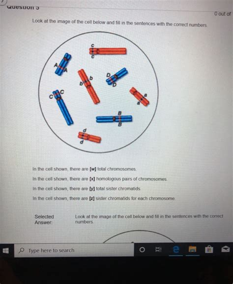 Solved Questions Look where the below and the seriences | Chegg.com