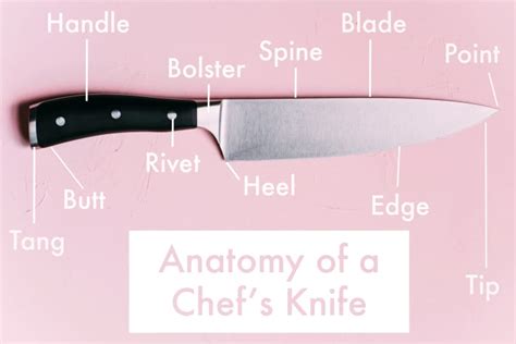 Anatomy Of A Chefs Knife What Each Part Is Called The Kitchn